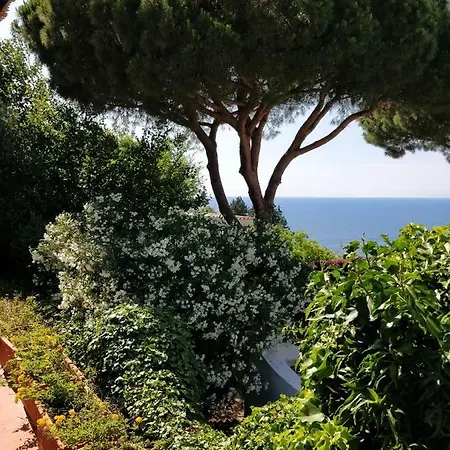 Villa Andrea Forio  Exterior photo