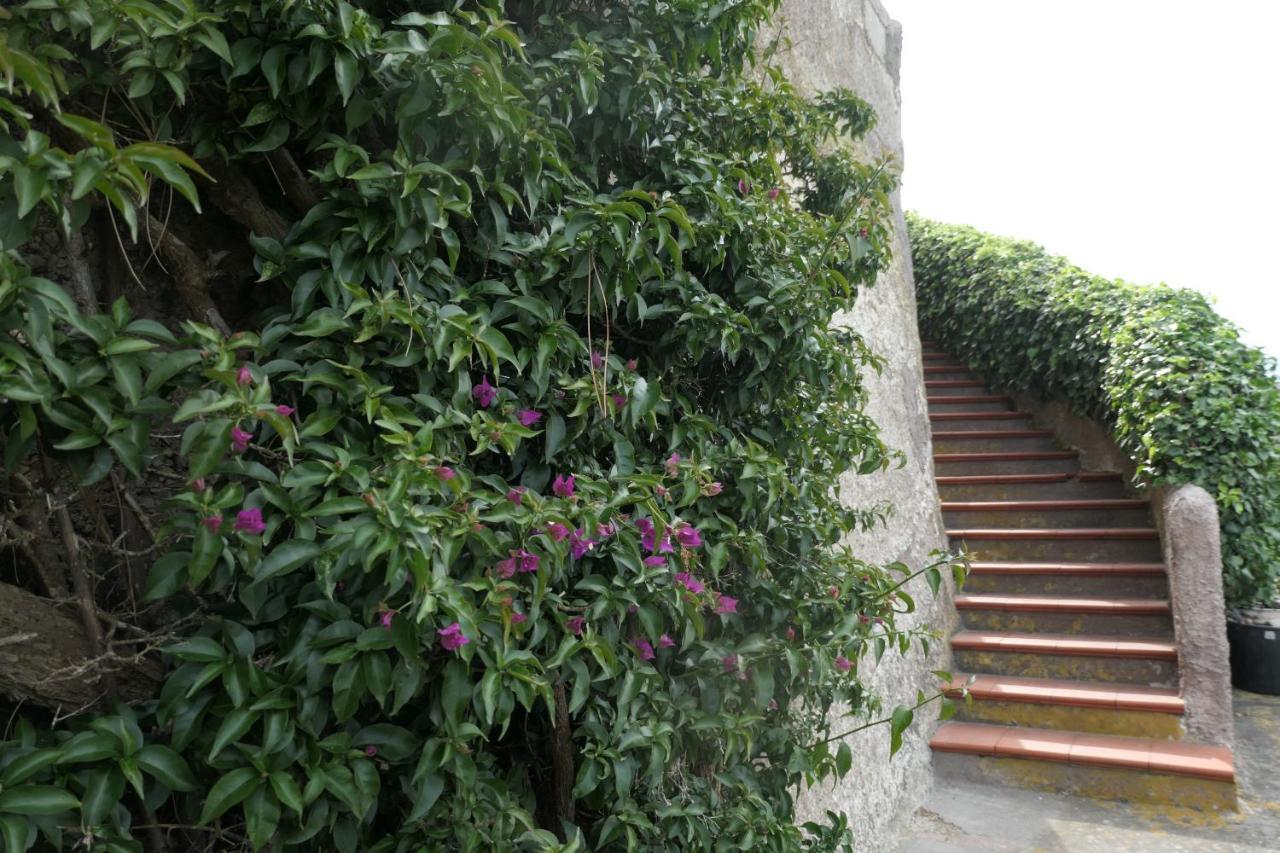 Apartment Andrea Forio (Isola d'Ischia)