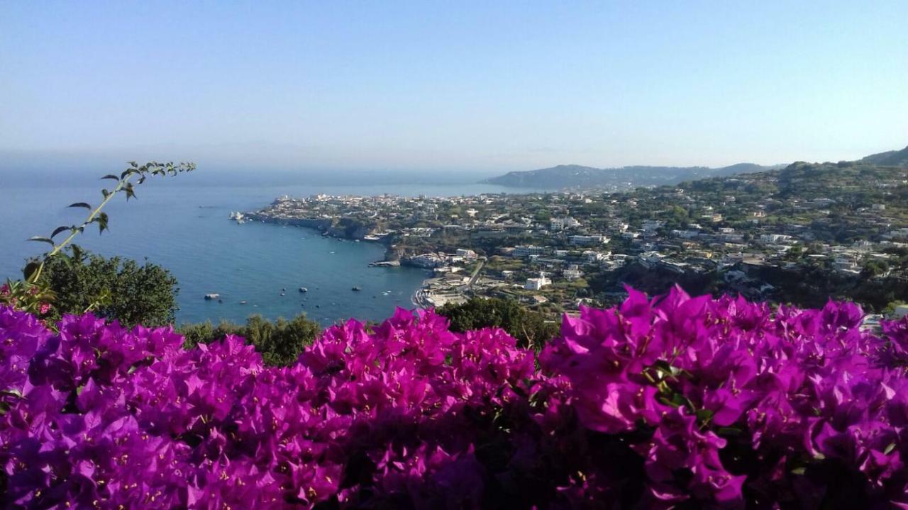 Andrea Forio (Isola d'Ischia)