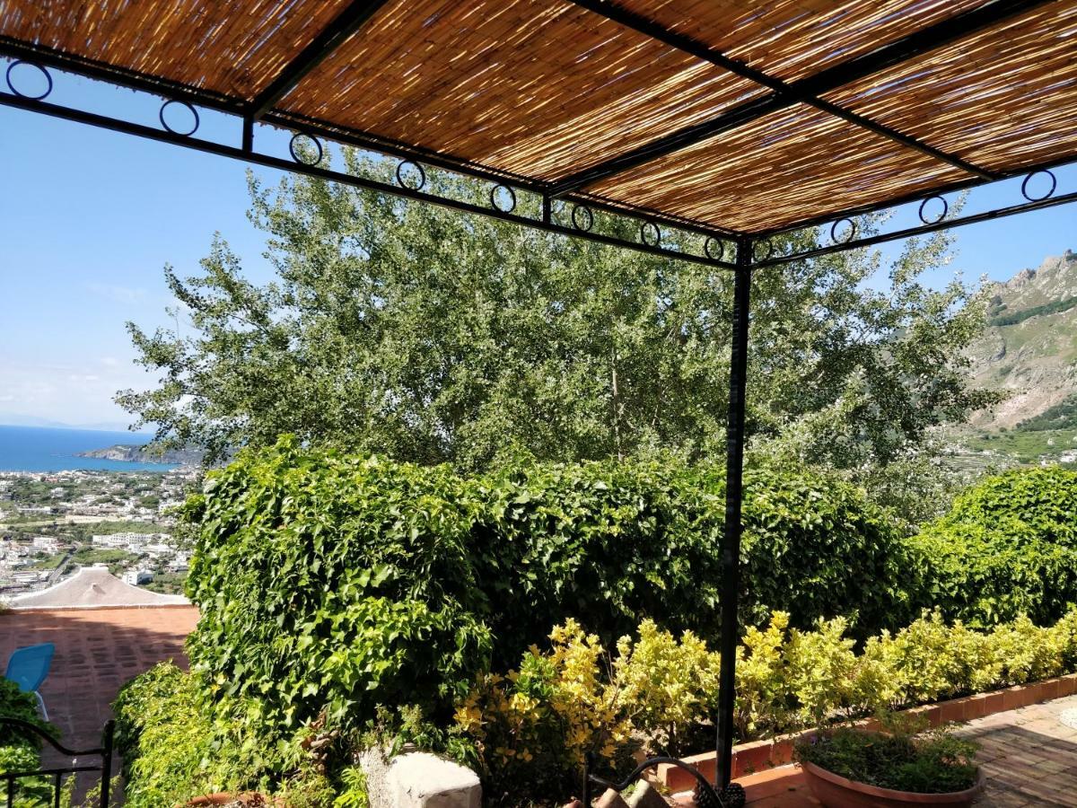 Apartment Andrea Forio (Isola d'Ischia)