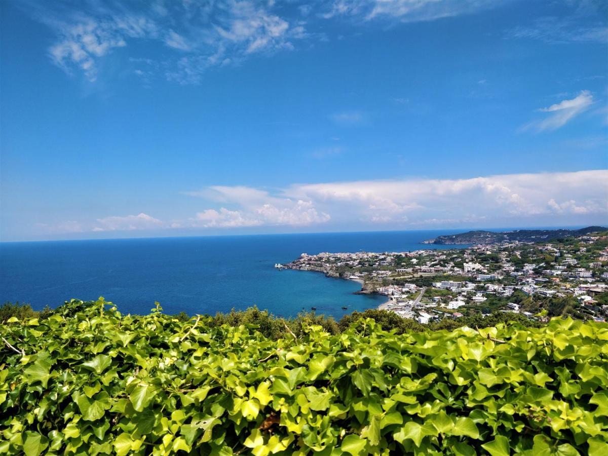 Andrea * Forio (Isola d'Ischia)