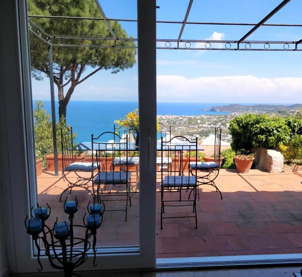 Apartment Andrea Forio (Isola d'Ischia)